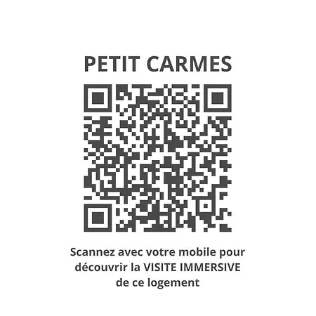 Le Petit Carmes - Joli De Caractere * Toulouse